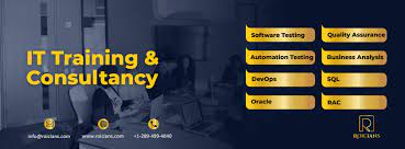 Online Business Analysis T